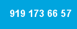 919 173 66 57
